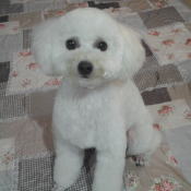 �X���C���[�W